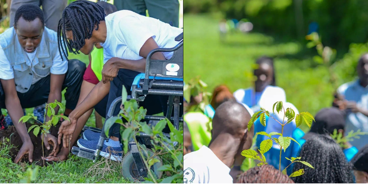Nurturing Sustainability: TGEK Community-Led Environmental Initiatives in Njoro, Nakuru County